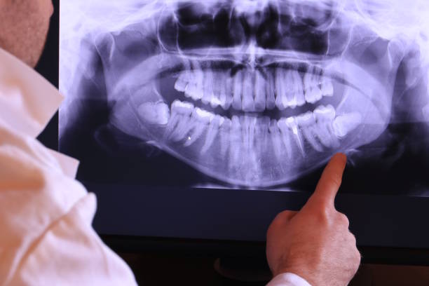 Best Emergency X-Rays and Diagnostics in Lorado City, CO